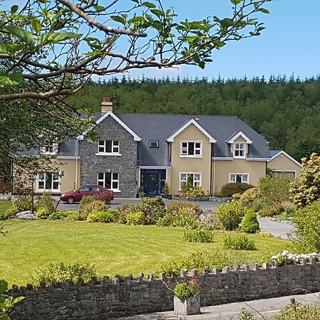 Greenlawn Lodge Lisdoonvarna Esterno foto