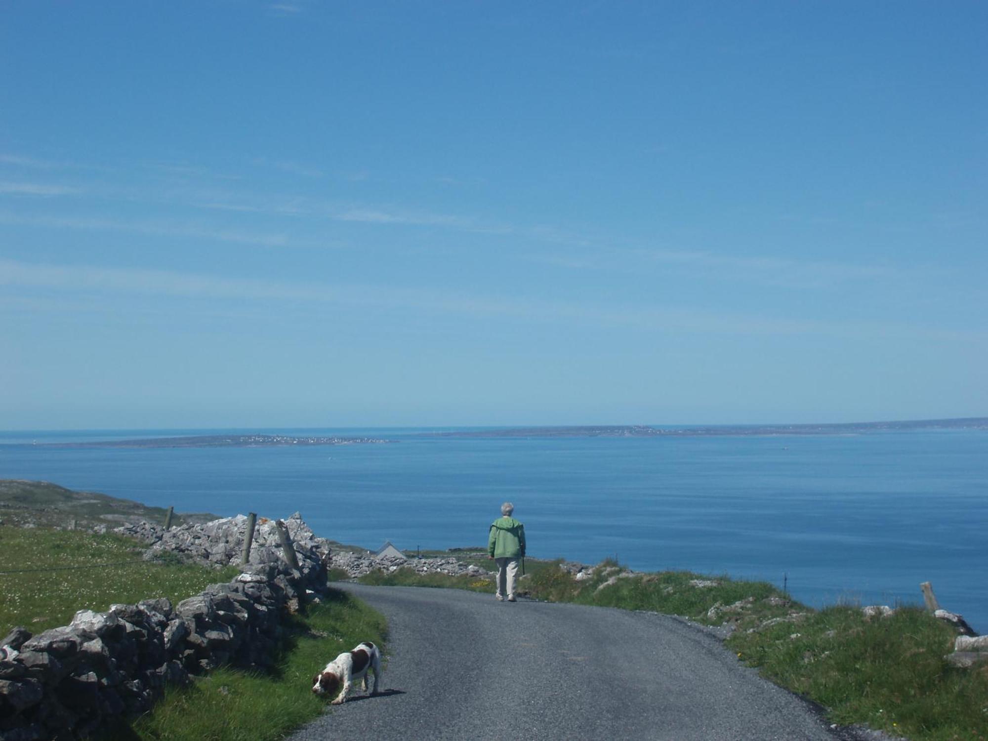 Greenlawn Lodge Lisdoonvarna Esterno foto
