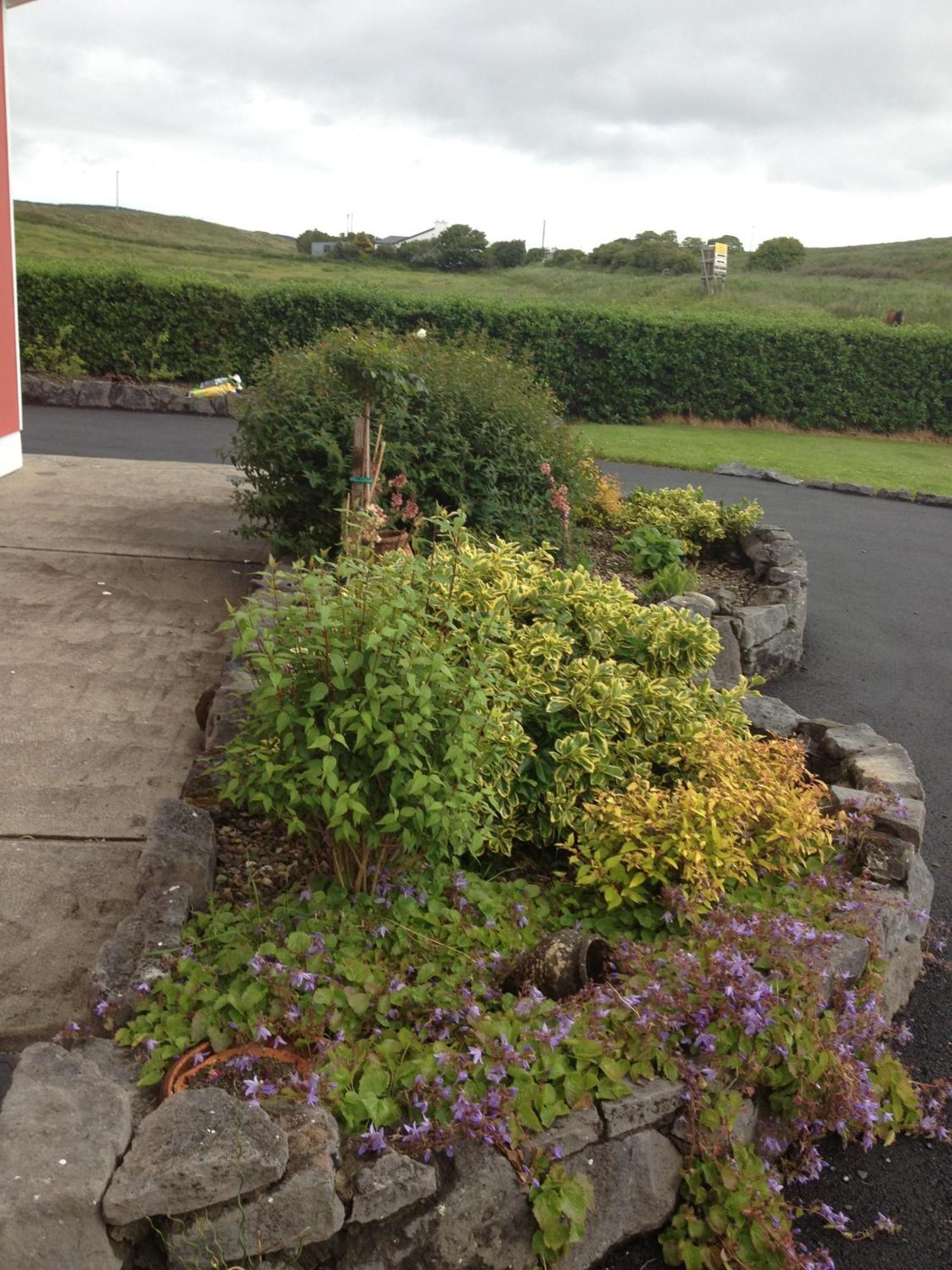 Greenlawn Lodge Lisdoonvarna Esterno foto